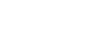 Bocevica